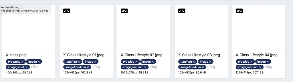 Assets not rendering after migration - Support - Squidex Support